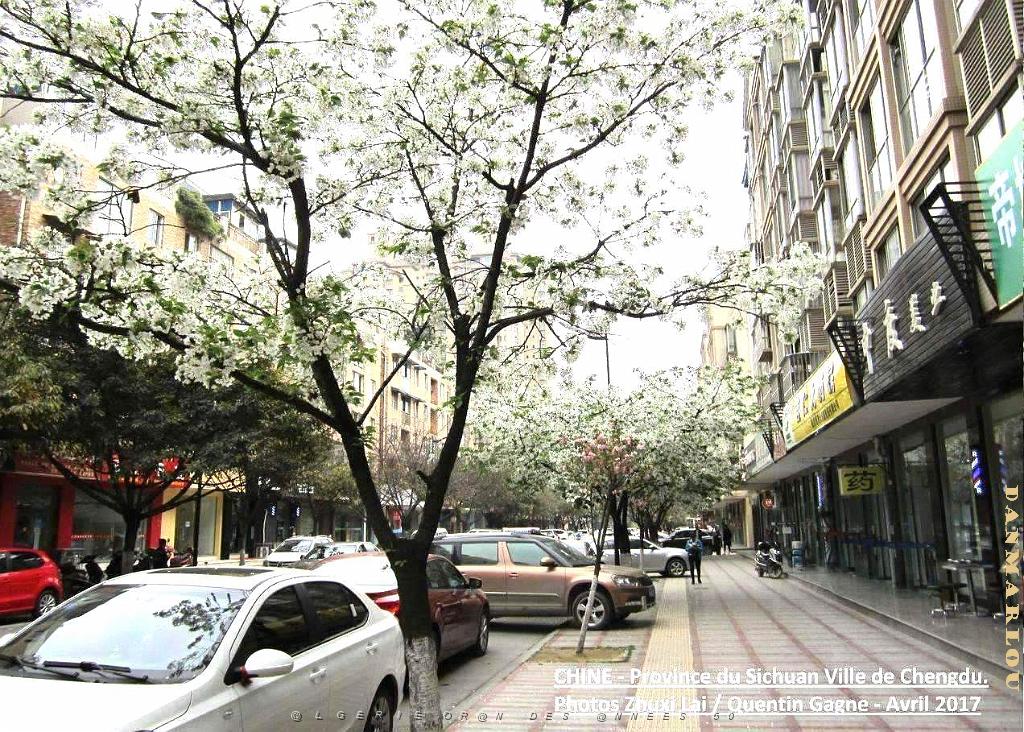 Chengdu avril 2017 - 002.JPG